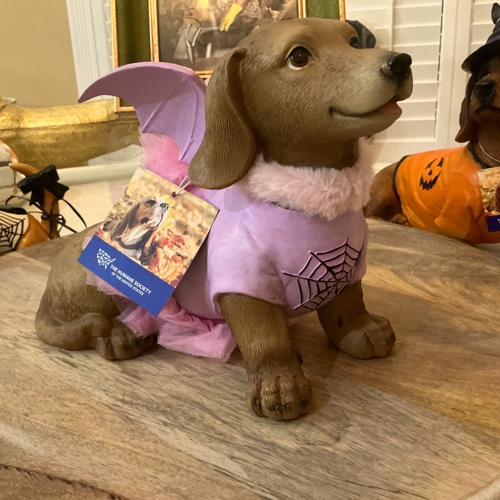 Adorable Dachshund Bat figure costume Pink Tutu & Wings, ballet or angel?🤔😀